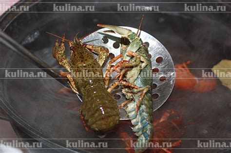 Раки в сладко-соленом рассоле – рецепт приготовления с фото от Kulina.Ru
