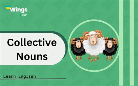 Collective Nouns Definition Examples And Exercises Leverage Edu