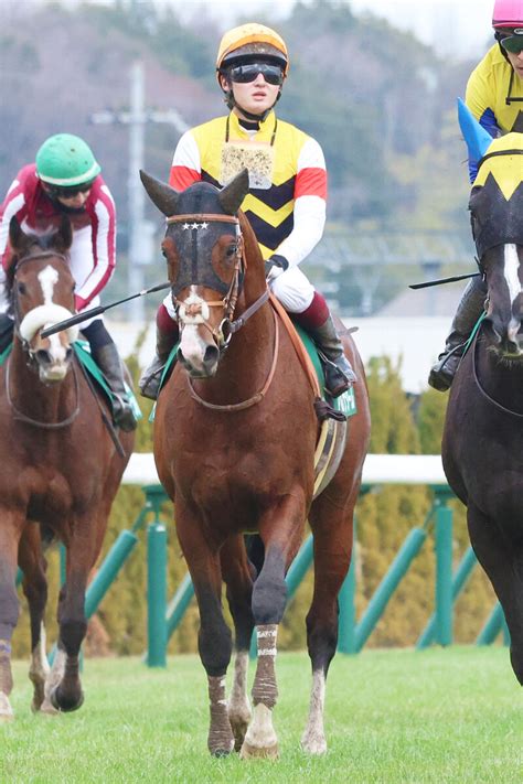 【京都金杯】2番人気のアルナシーム11着 鮫島克駿騎手「色々かみ合わなかったです」 Umatoku 馬トク