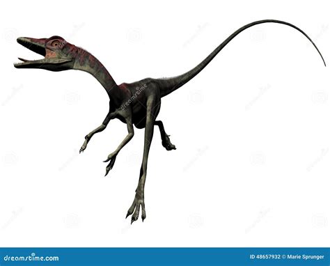 Dinosauro Di Compsognathus 3d Rendono Illustrazione Di Stock Illustrazione Di Natura Verde