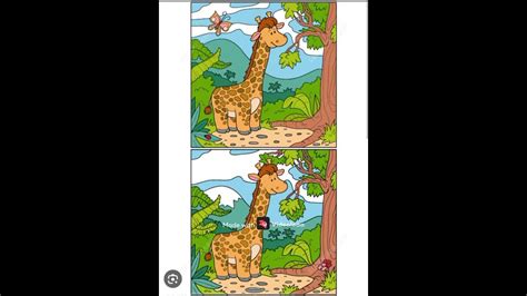 Find 15 Differences Between Pictures Of Giraffe Puzzle Short Shorts