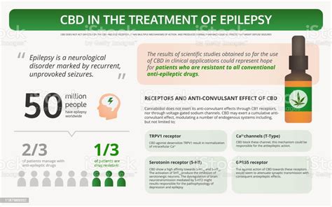 Vetores De Cannabis No Tratamento Da Epilepsia Infográfico Livro