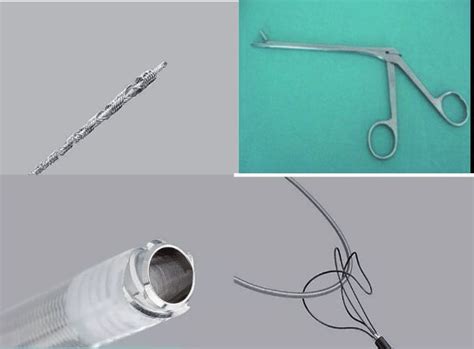 materials  percutaneous  scientific diagram