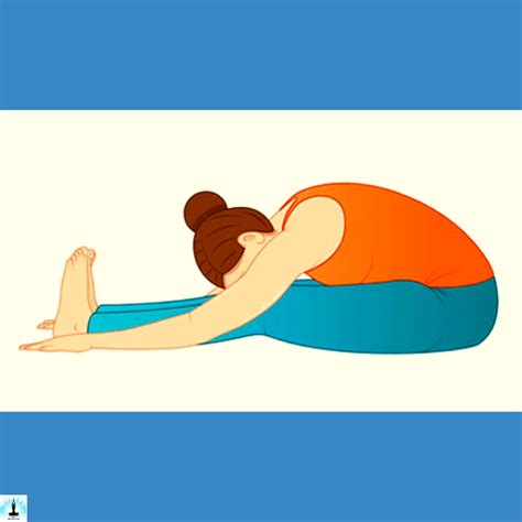 Top Benefits Of Paschimottanasana Seated Forward Bend Pose Step