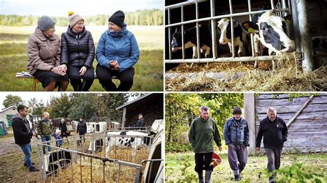 Rolnicy Podlasie sezon 5 odcinek 48 Rola zwierząt fokus tv