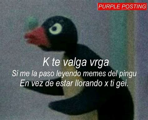 Pin En Memes