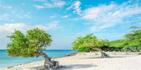 La Playa Con árboles Elegida Entre Las Mejores Del Mundo Dimension Turistica Magazine