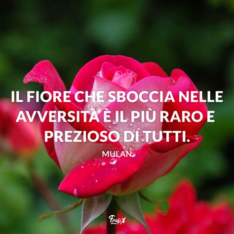 45 BELLISSIME Frasi Sui Fiori