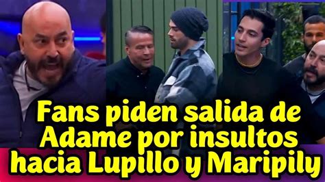 Lcdlf Fans Piden La Salida De Alfredo Adame Por Insultos Hacia