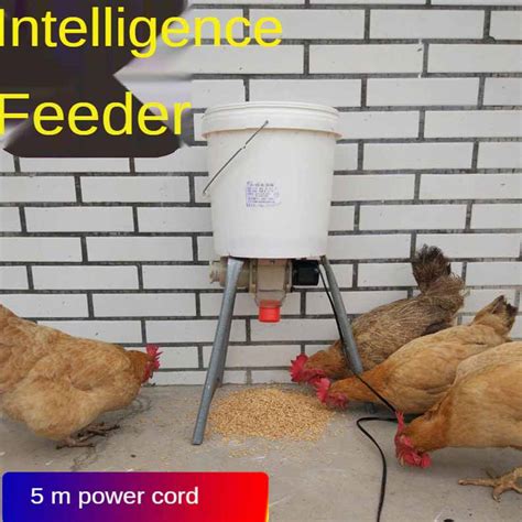 Automatic Chicken Feeder Poultry Feeding No Spill with Weatherproof Lid ...