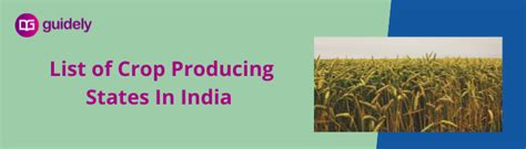 List Of Major Crops And Producing States In India PDF 2025