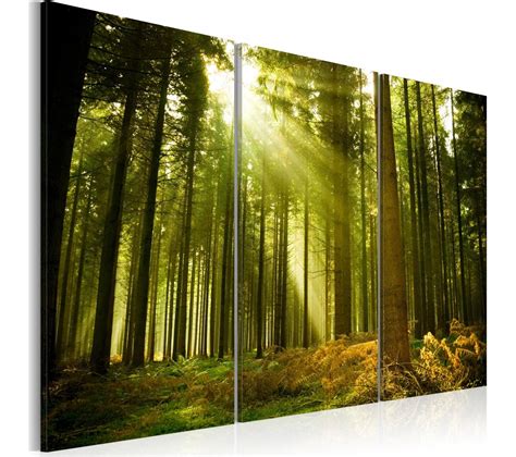 Tableau Forêt Beaute De La Nature 60 X 40 Cm Tableau Toile BUT