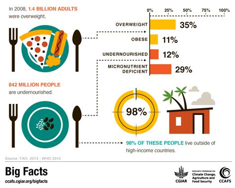 Infographic Food Security