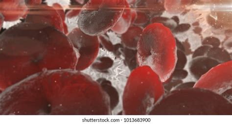 Red Blood Cell Carry Nutrients Oxygen Stock Illustration 1013683900