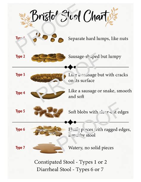 Bristol Stool Chart File - Etsy