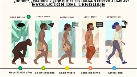 Etapas De Evoluci N Humana