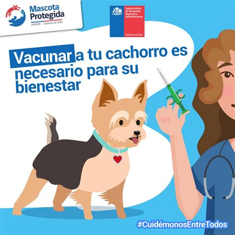 Mascota Protegida On Twitter La Salud De Tu Mascota Es Tan Importante