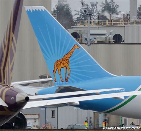 Tanzania Business Insight On Twitter A New Giraffe Rises A 767 300