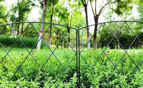 Thealyn Decorative Garden Fence 24 In H X 10 Ft L Dog