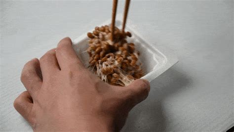 Japanese Natto 101 What Is It How To Eat And 26 Secret Toppings