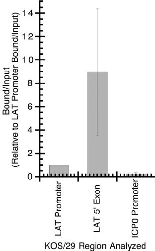 Rt Pcr Analysis Detecting The Presence Or Absence Of Lat Rna In Drg