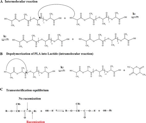 Side Reactions Caused During The La Polycondensation A Intermolecular