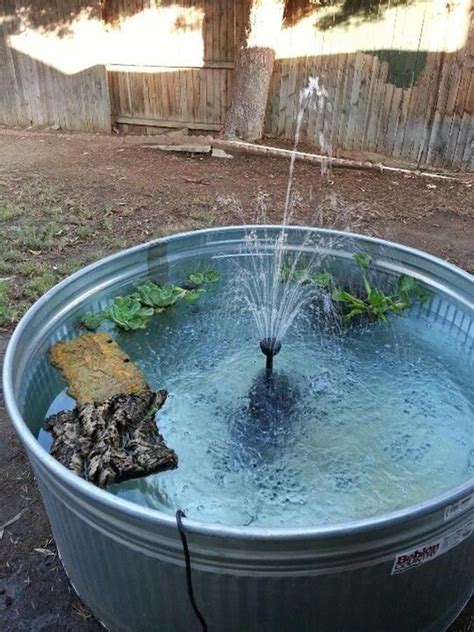 Diy Backyard Turtle Pond Designs Ideas 20 Turtle Pond Ponds Backyard Backyard