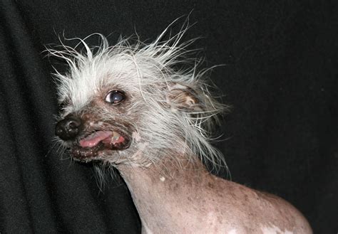 Photography experts explain why we love ugly photos of animals 13