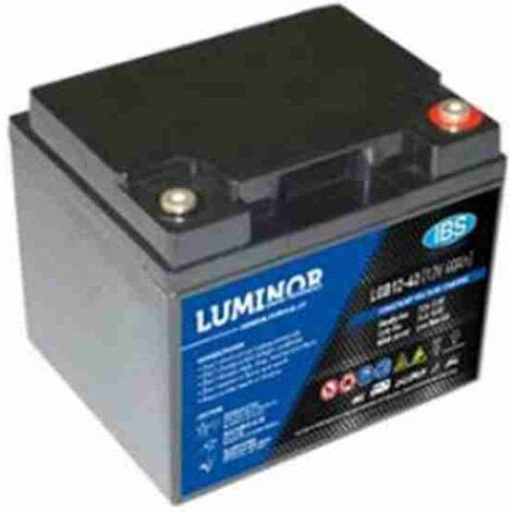 AGM VRLA Bleibatterie Energy Safe Cyclic Serie 12V 75 8Ah C20 FM6