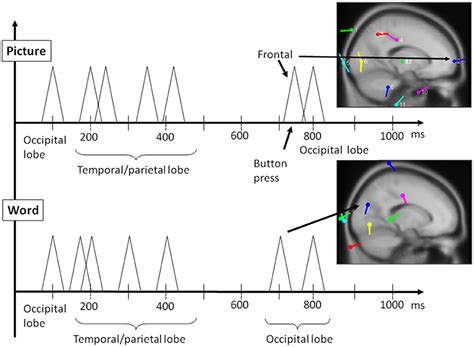 Frontiers Retooling Computational Techniques For Eeg Based