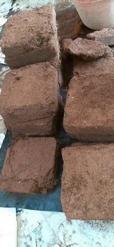 Square Cocopeat Blocks For Agriculture Packaging Type Bag At Rs