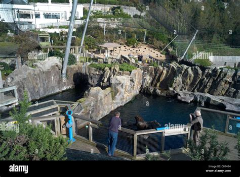 Living Coasts Zoo In Torquay Devon Visitors Inside The Huge Stock