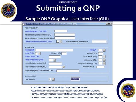 U Les Fbi National Instant Criminal Background Check System Nics