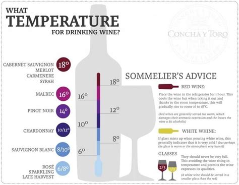 Ideal Wine Temperatures Useful Kitchen Tips Pinterest