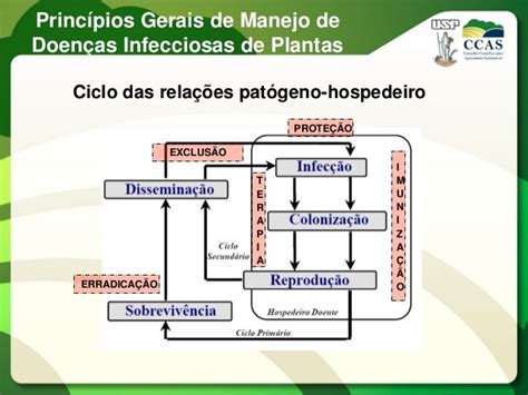 Manejo Integrado De Doenças De Plantas