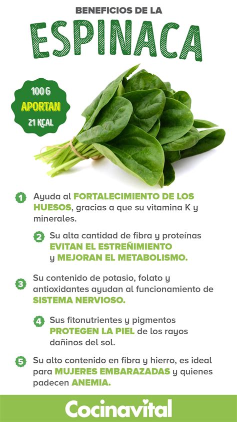 8 Beneficios De La Espinaca Que Te Harán Comerla Diario Frutas Y