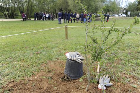 Na Maia Nasce Um Novo Parque Numa Rea Do Futuro Futuro Projeto Das