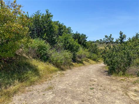 Small Dry Dusty Trails In The Valley Stock Photo Image Of Green