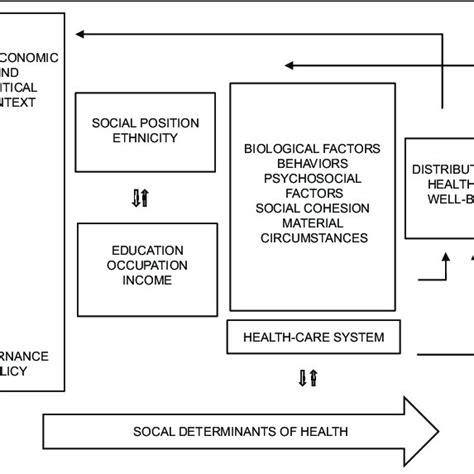 Social Determinants Of Health Own Elaboration From Csdh Closing The Download Scientific