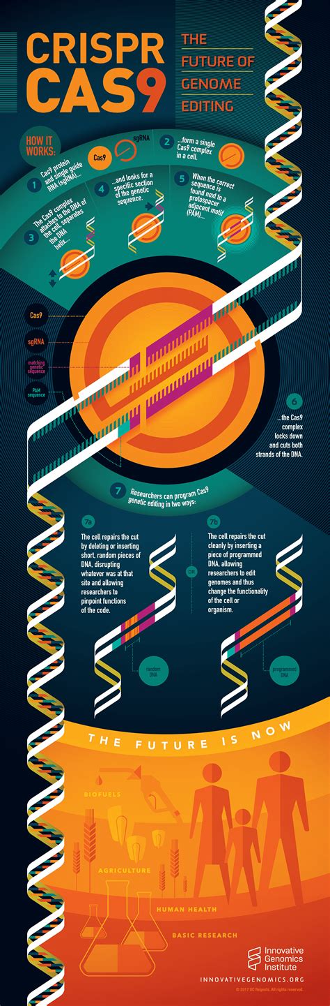 Crispr Infographic