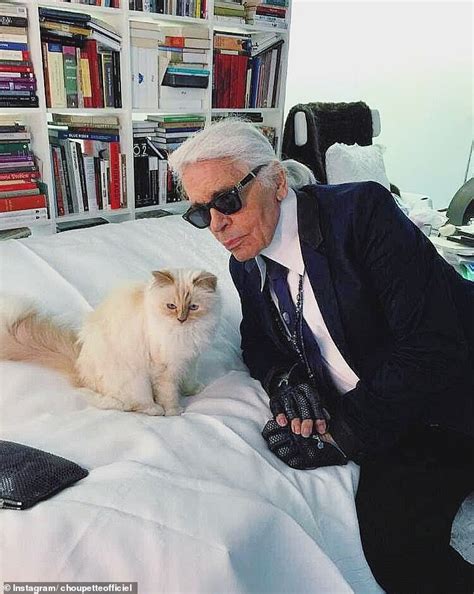 How Is Karl Lagerfelds Cat Choupette Doing Now Home