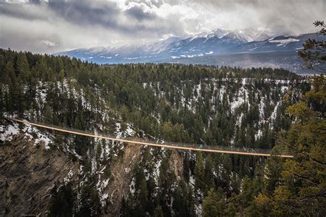 Golden Skybridge: Experience a Unique Thrill Alongside Epic Views