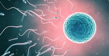 Advantages And Disadvantages Of Sexual Reproduction