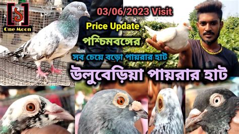 Uluberia Pet Market Current Exotic Pigeon S Price Update At Uluberia