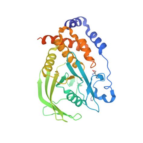 Rcsb Pdb Qdq Pandda Analysis Group Deposition Crystal Structure