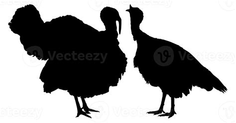 Pair Of Turkey Silhouette For Art Illustration Pictogram Or Graphic