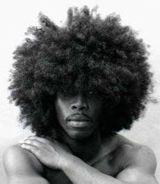 Pin By Arnaldo Artigas On HOMENS EM PRETO In 2024 Natural Hair Twist