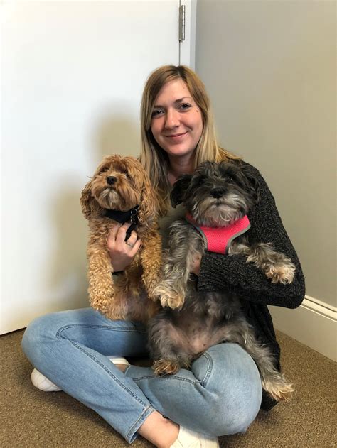 Pet Food Program — Meals on Wheels of Charlottesville / Albemarle