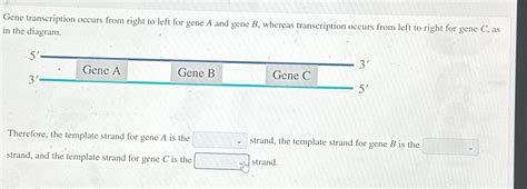 Solved Gene Transcription Occurs From Right To Left For Gene