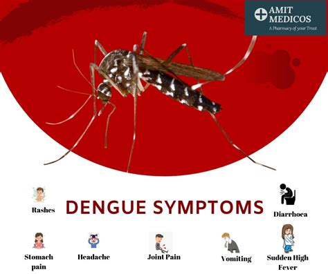 Amit Medicos: Some common Dengue symptoms and Prevention